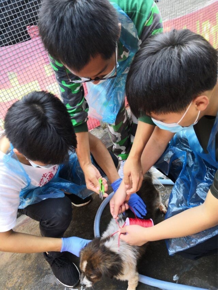 QQ图片20181101205203_副本.jpg