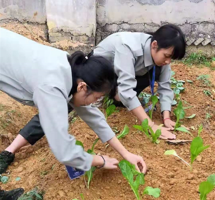 微信图片_20181119085150_副本.jpg