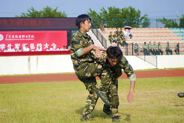 04.jpg
