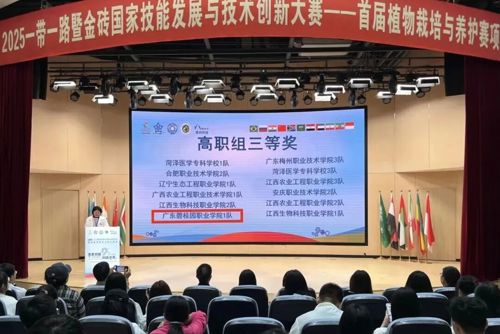 捷报连连！碧职学子斩获金砖大赛三等奖！